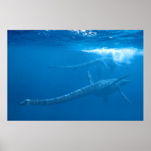 Elasmosaurus : Ancient Sea Monsters series Poster