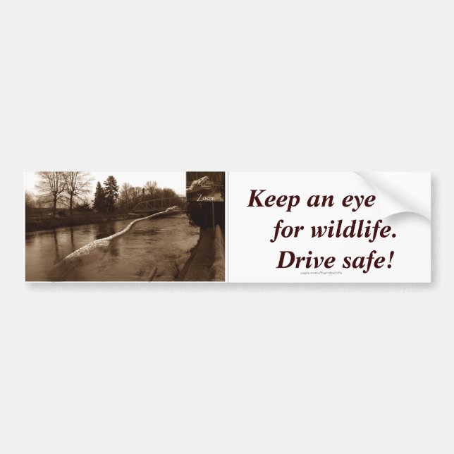 Elasmosaurus Gifts Bumper Sticker (Front)