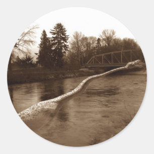 Elasmosaurus Gifts Classic Round Sticker