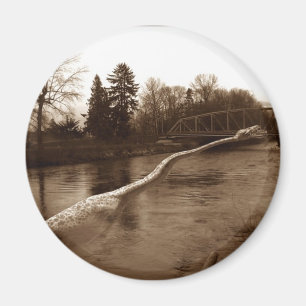 Elasmosaurus Gifts Magnet