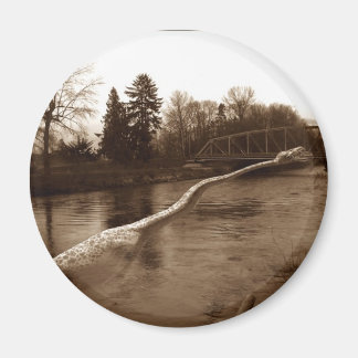 Elasmosaurus Gifts Magnet