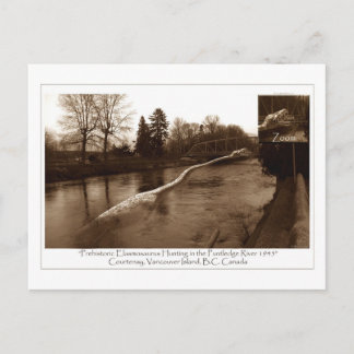 Elasmosaurus Gifts Postcard