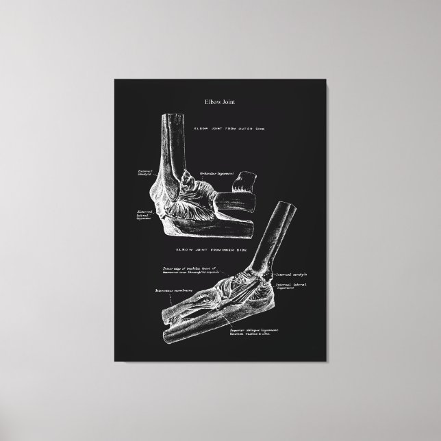 Elbow Joint Anatomy Canvas Art (Front)