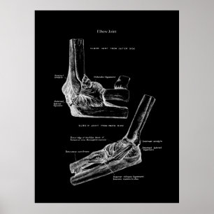 Elbow Joint Anatomy Orthopaedic Wall Decor