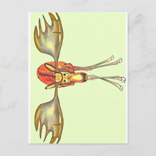 Elch Postcard (Front)