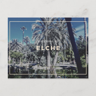 Elche Postcard