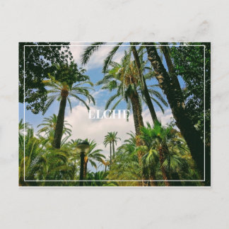 Elche Postcard