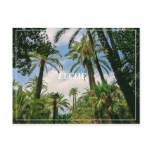 Elche Postcard 