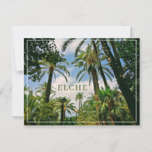 Elche Postcard 