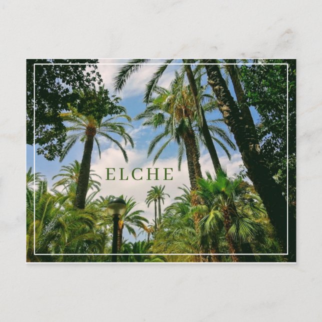 Elche Postcard  (Front)