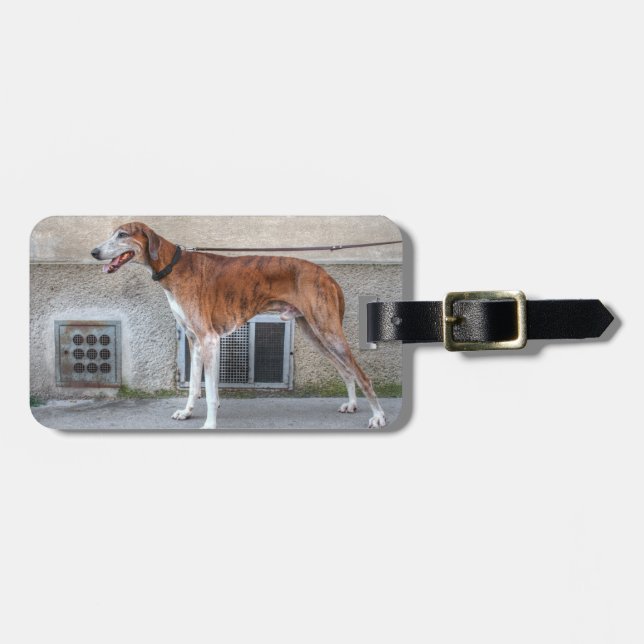Elder Brindle Greyhound Luggage Tag (Front Horizontal)