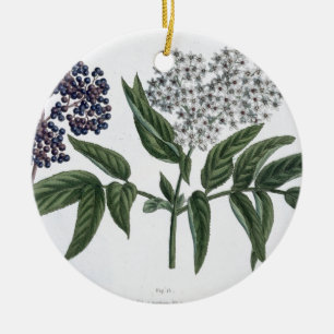 Elder, fig. 13 from 'The Young Landsman', publishe Ceramic Tree Decoration