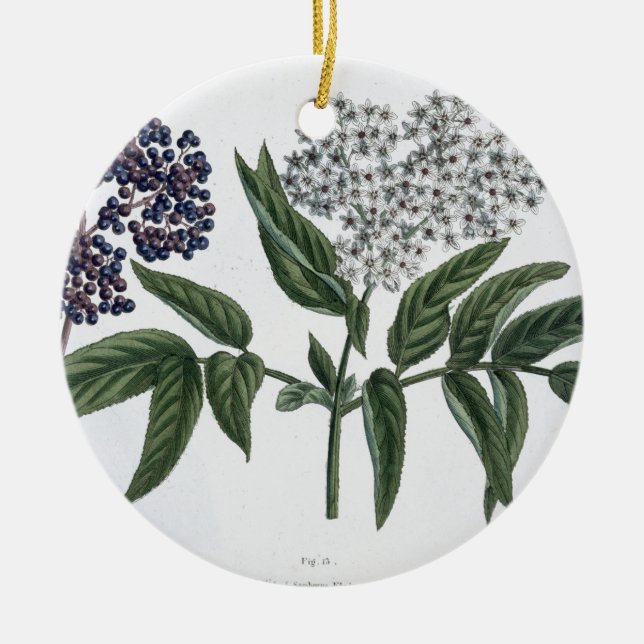 Elder, fig. 13 from 'The Young Landsman', publishe Ceramic Tree Decoration (Front)
