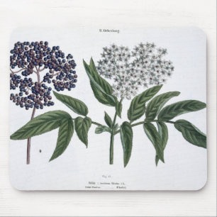 Elder, fig. 13 from 'The Young Landsman', publishe Mouse Mat