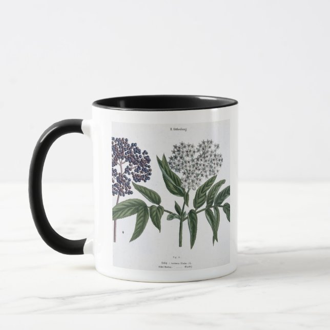 Elder, fig. 13 from 'The Young Landsman', publishe Mug (Left)