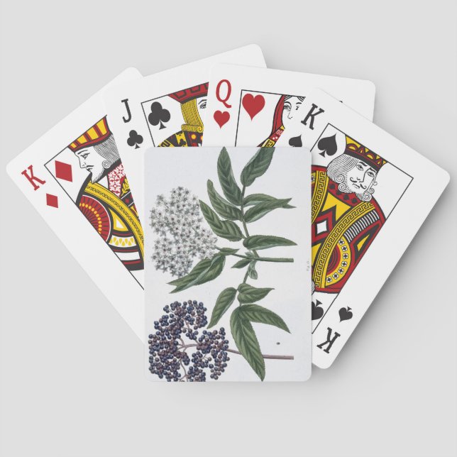 Elder, fig. 13 from 'The Young Landsman', publishe Playing Cards (Back)