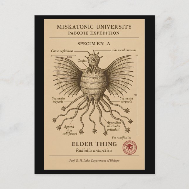 Elder Thing Specimen – Pabodie Expedition, Miskato Holiday Postcard (Front)