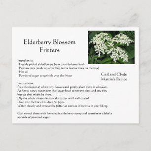 Elderberry Blossom Fritters Postcard