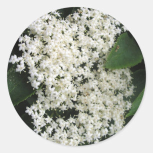 Elderflower Classic Round Sticker