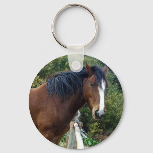 Elderly Clydesdale Horse, Key Ring
