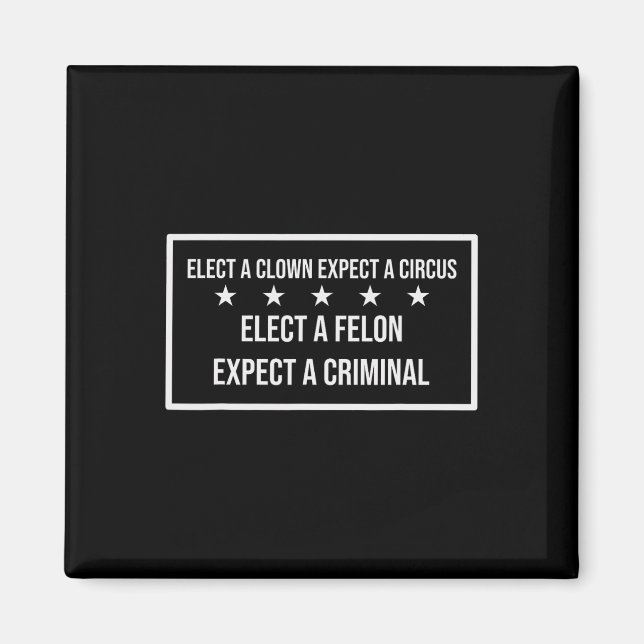 Elect A Felon Expect A Criminal Elect Clown Expect Magnet (Front)