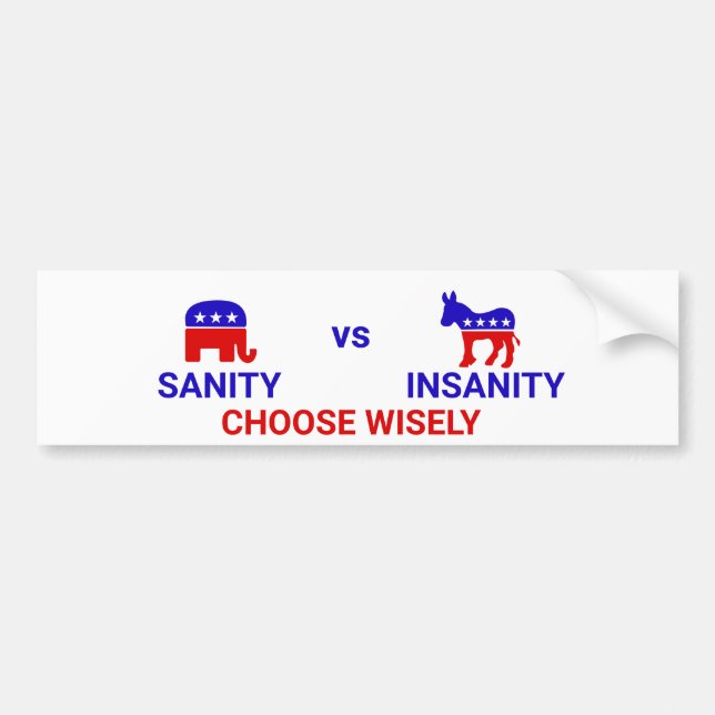Election 2020: Sanity vs Insanity Bumper Sticker (Front)