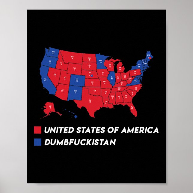 Election Map 2024 United States Of America Dumbfor Poster (Front)