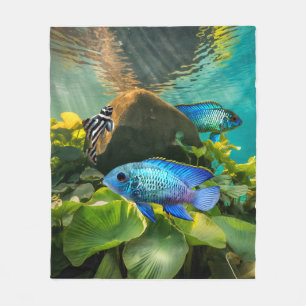 Electric Blue Acara Cichlids Zebra Pleco Fish Art Fleece Blanket