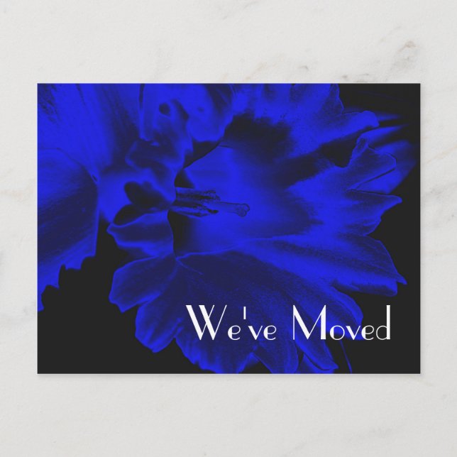 Electric Blue Daffodil New Address Floral Postcard (Front)