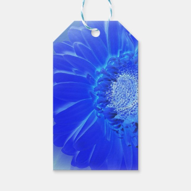 electric blue gerbera gift tags (Front)