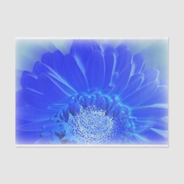 electric blue gerbera tissue paper (Front)