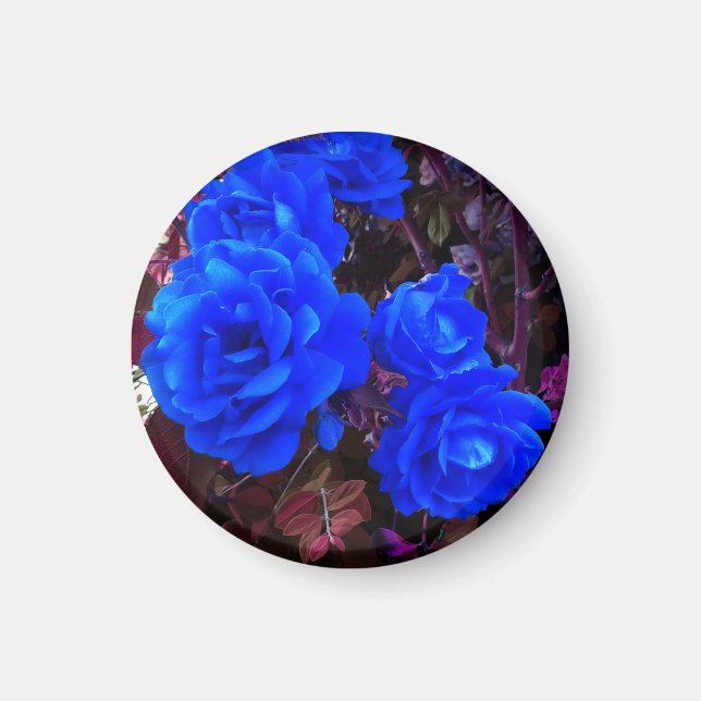 Electric blue Roses   Magnet (Front)