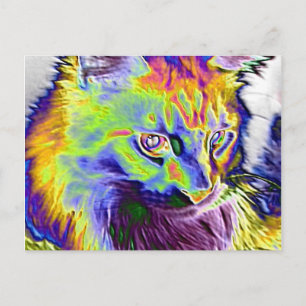 Electric Cat Postcard