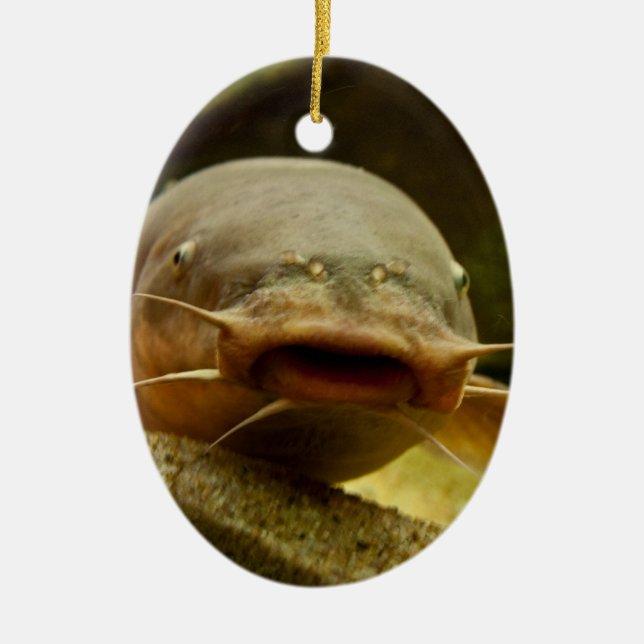 Electric catfish ceramic tree decoration (Front)