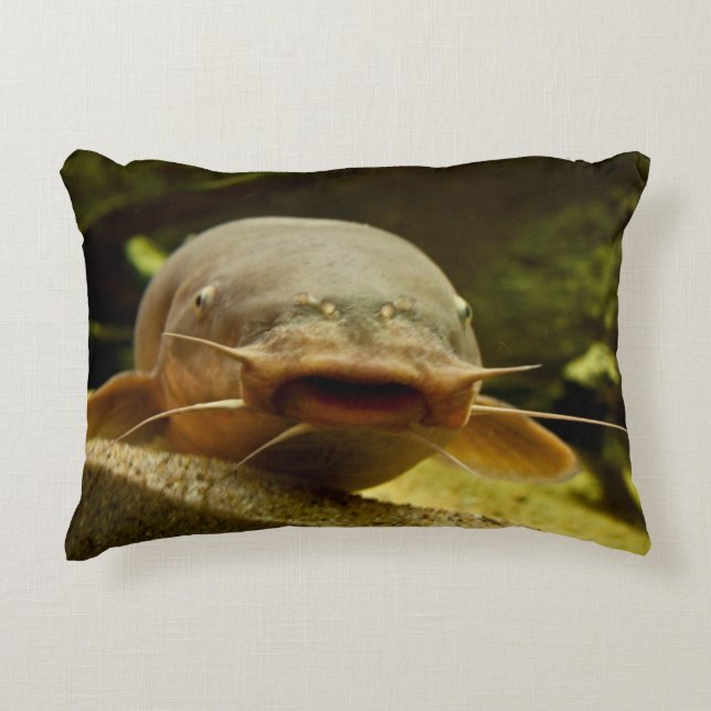 Electric catfish decorative cushion (Front)