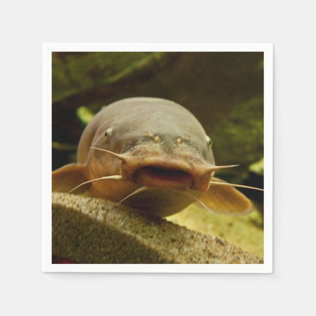 Electric catfish napkin (Front)