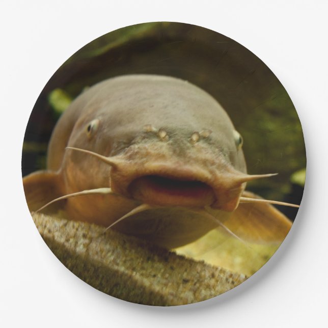 Electric catfish paper plate (Front)