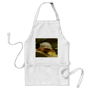 Electric catfish standard apron