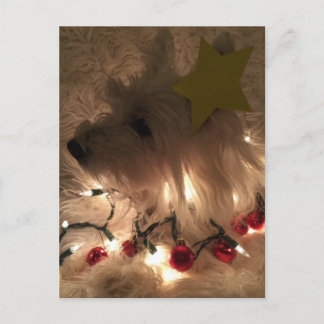 Electric Light Westie Postcard