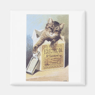 Electric Oil Cat Magnet