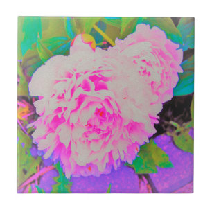 Electric Pink Peonies in the Colourful Garden Tile