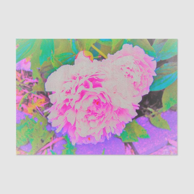 Electric Pink Peonies in the Colourful Garden Tissue Paper (Front)