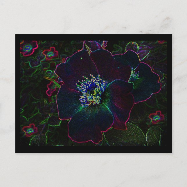 Electric Roses Postcard (Front)