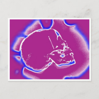 electrichildskull postcard