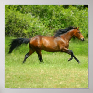 Electrichorse Poster