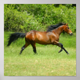 Electrichorse Poster