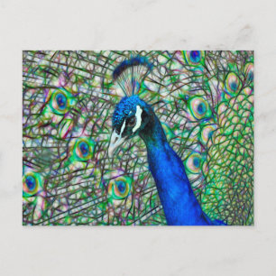 Electrified Peacock Head Postcard