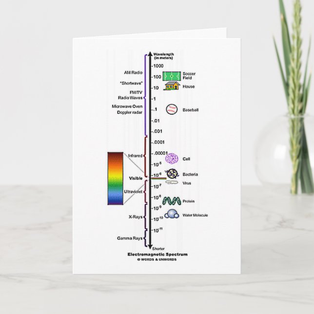 Electromagnetic Spectrum Card (Front)