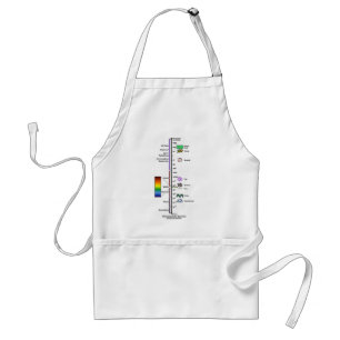 Electromagnetic Spectrum Standard Apron