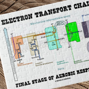 Electron Transport Chain Final Stage Of Aerobic Jigsaw Puzzle